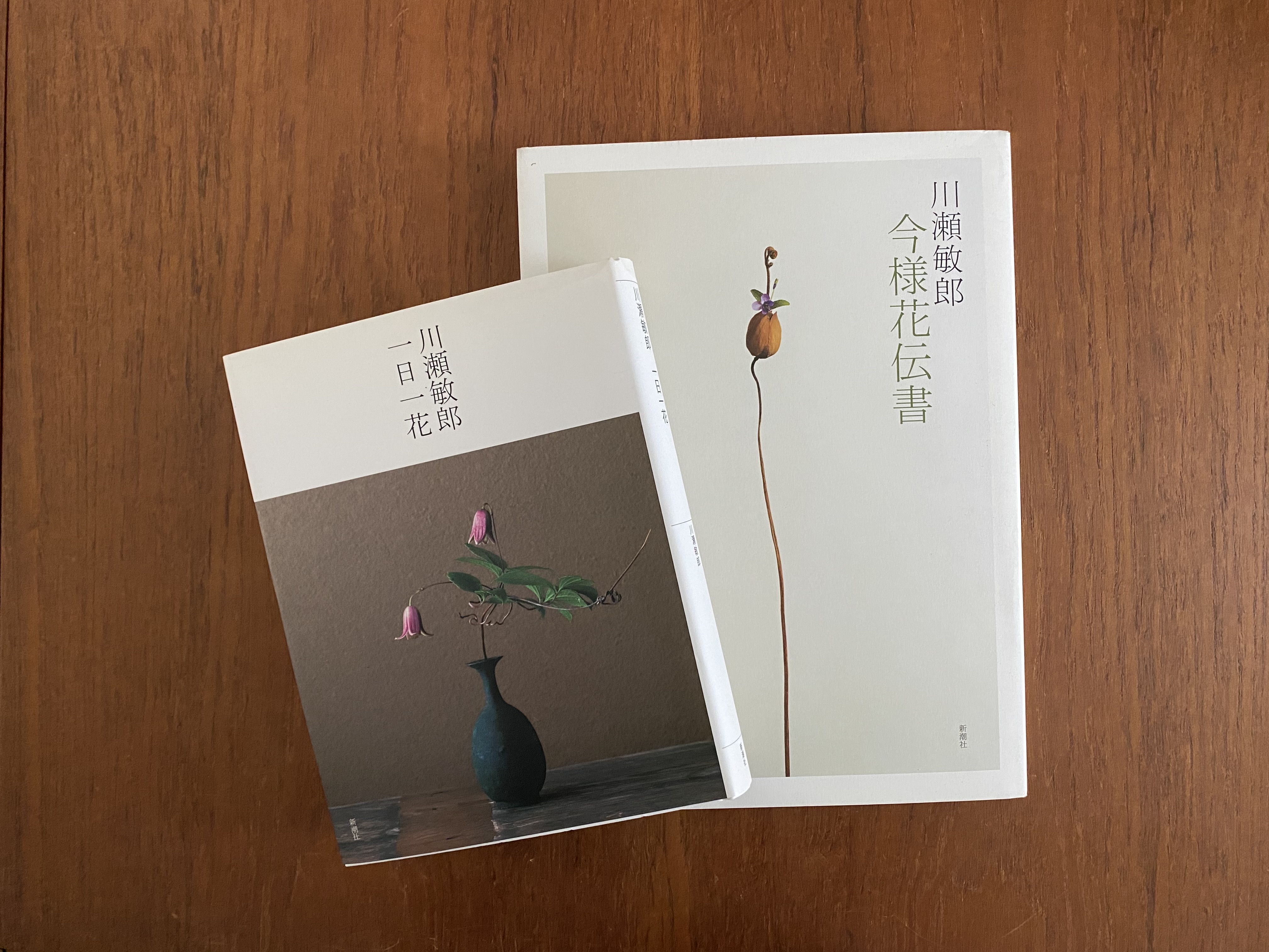 川瀬敏郎 今様花伝書 | 新潮社 | nostos books ノストスブックス